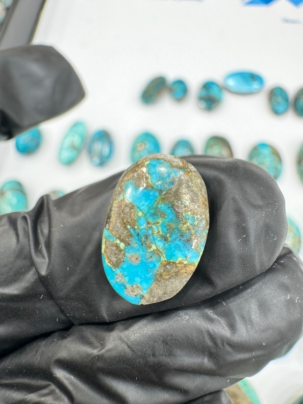 AAE SF 021 Natural Shajri Feroza Stone – Original Turquoise Gemstone