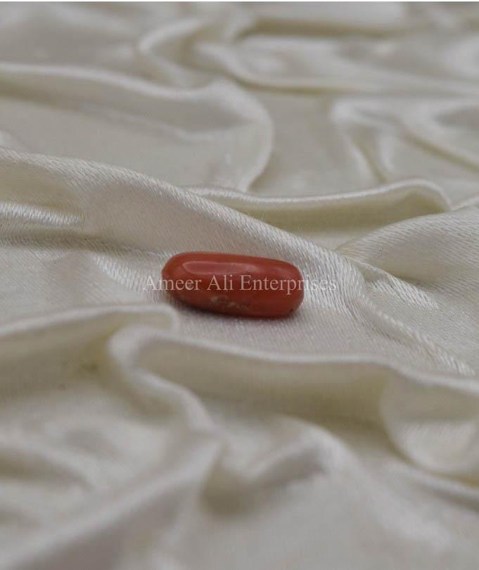 AAE 1336 Marjan (Coral) Stone - AmeerAliEnterprises