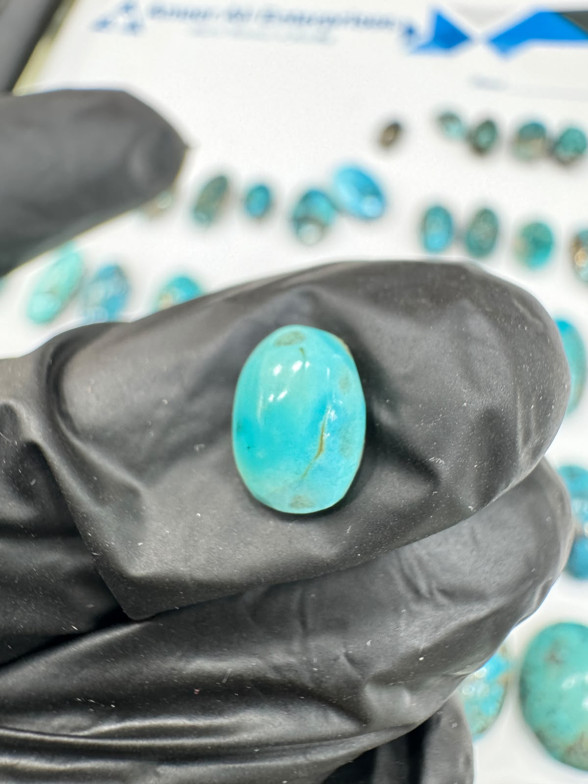 AAE SF 005 Natural Shajri Feroza Stone – Original Turquoise Gemstone