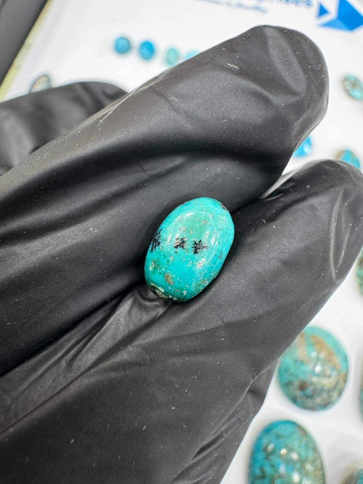 AAE SF 011 Natural Shajri Feroza Stone – Original Turquoise Gemstone