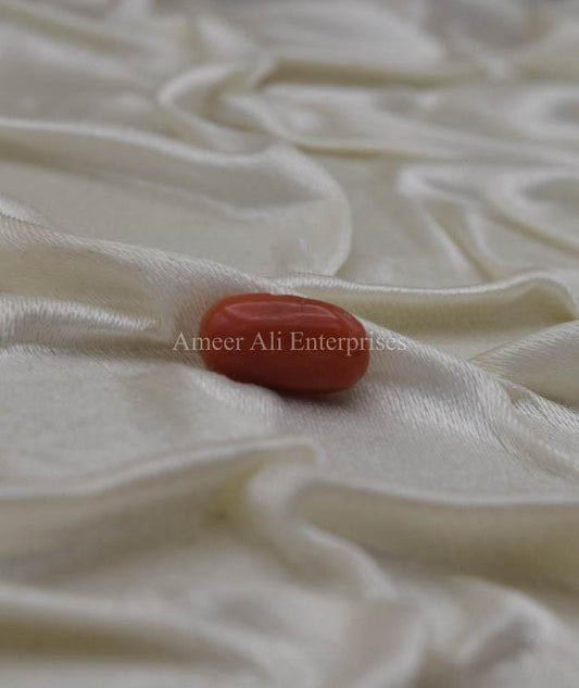 AAE 1336 Marjan (Coral) Stone - AmeerAliEnterprises