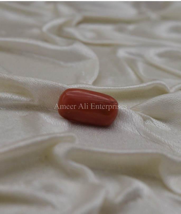 AAE 1338 Marjan (Coral) Stone - AmeerAliEnterprises